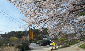 화원삼계탕