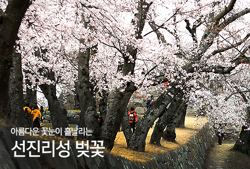 사천4경